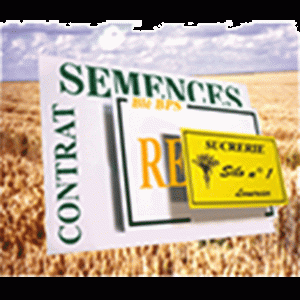 Polystar Plaque A4 300 x 210mm 2mm Thick - 55118 (per 25)